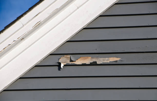 Best Siding Painting and Refinishing  in Bowling Green, VA